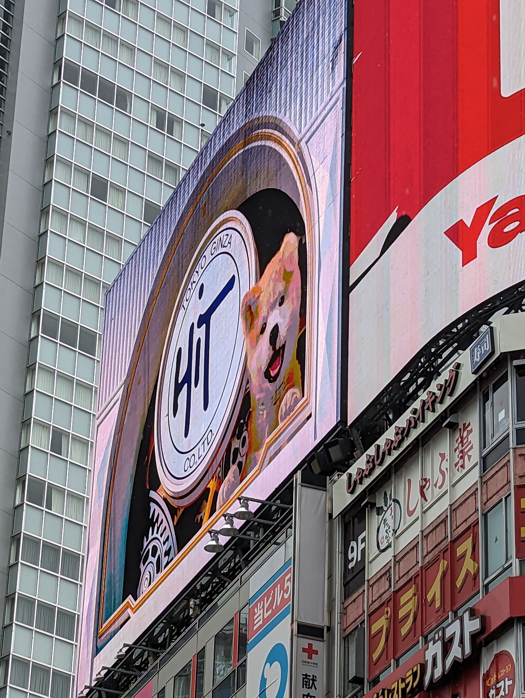 Day 18 - Shibuya, Concert in Shinjuku