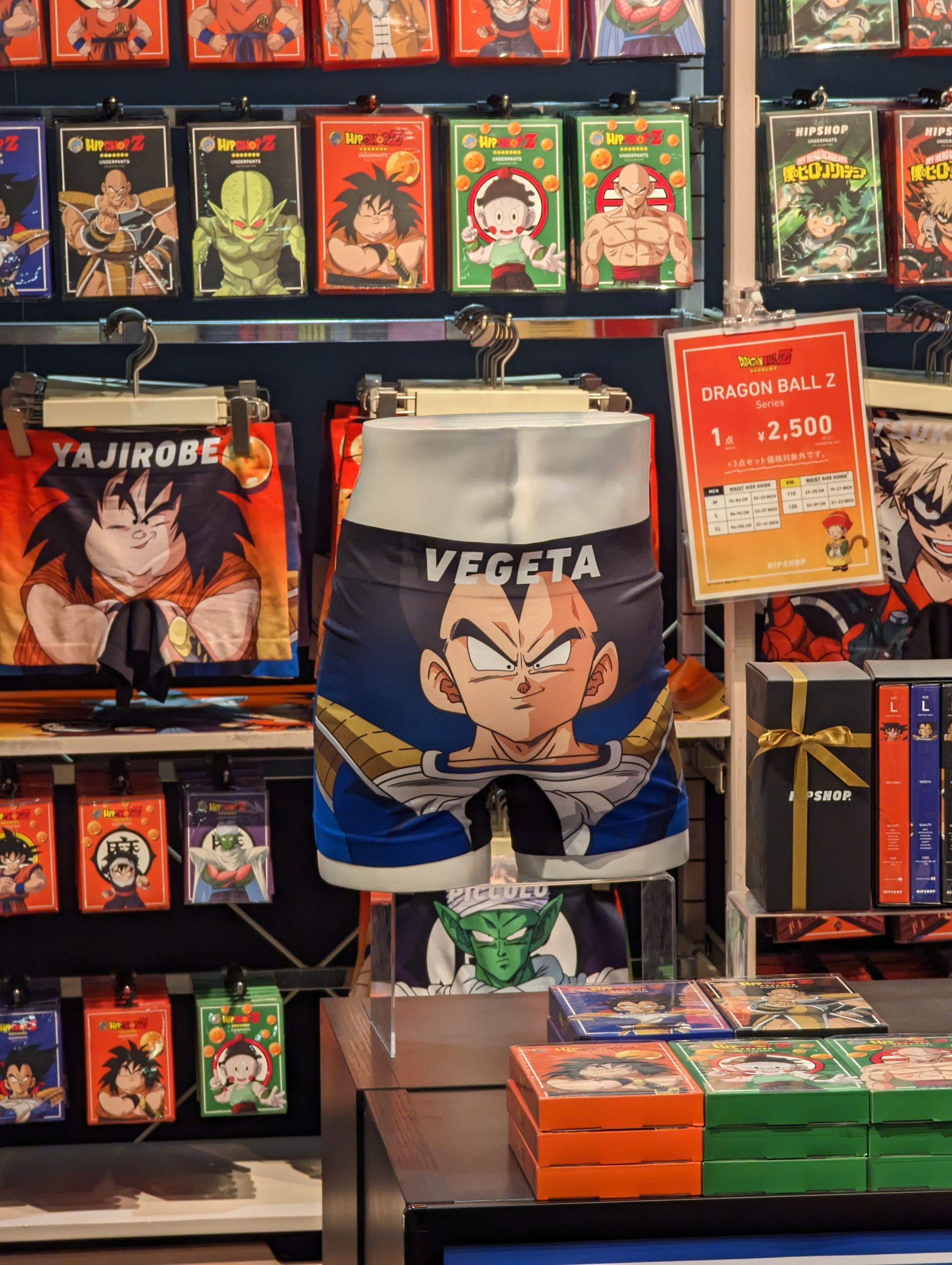 Day 19 - Odaiba, Kanda , Akiba, Ochanomizu