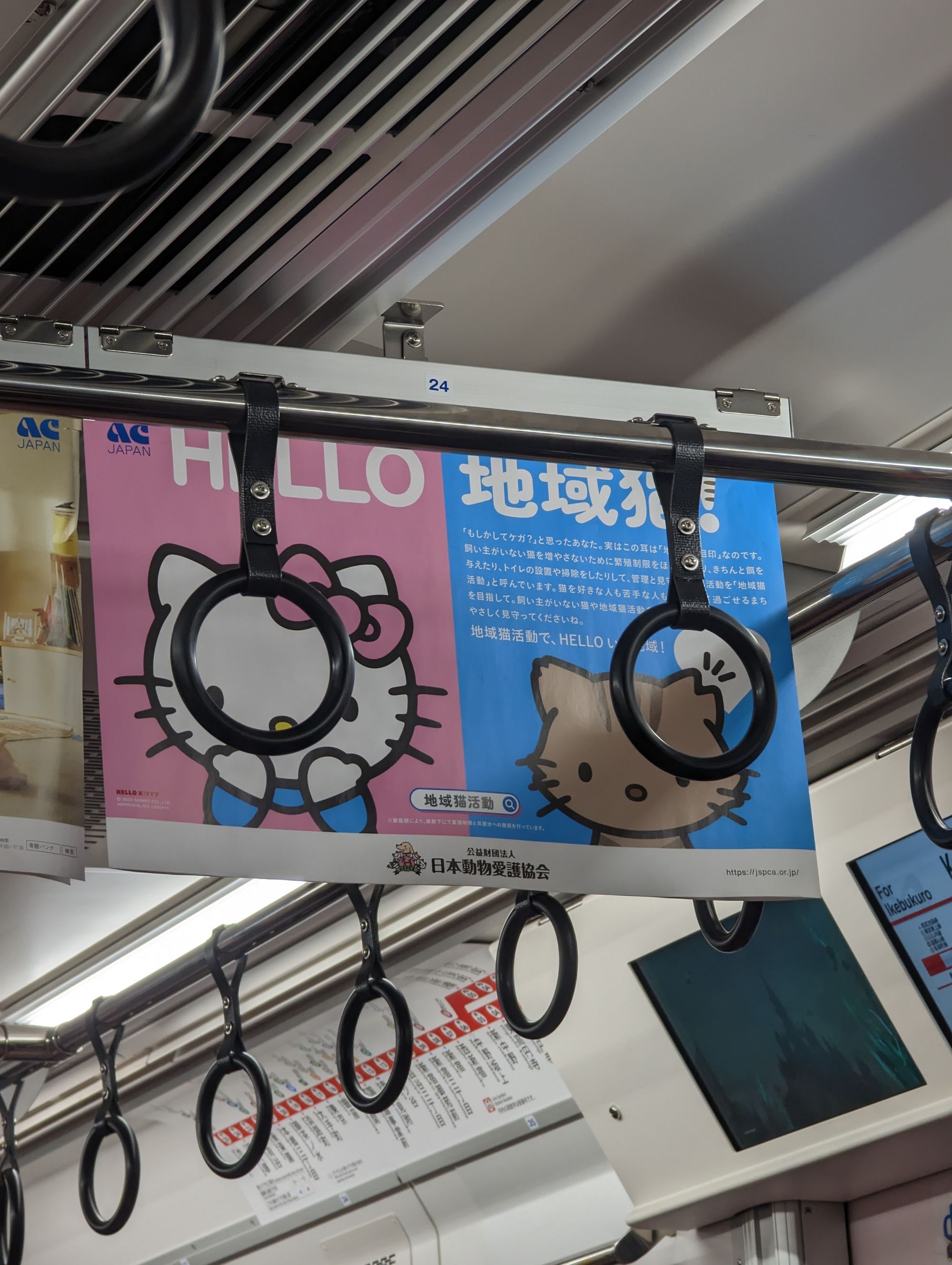 Day 20 - Gotokuji, Shimo Kitazawa, Ikebukuro & Shinjuku