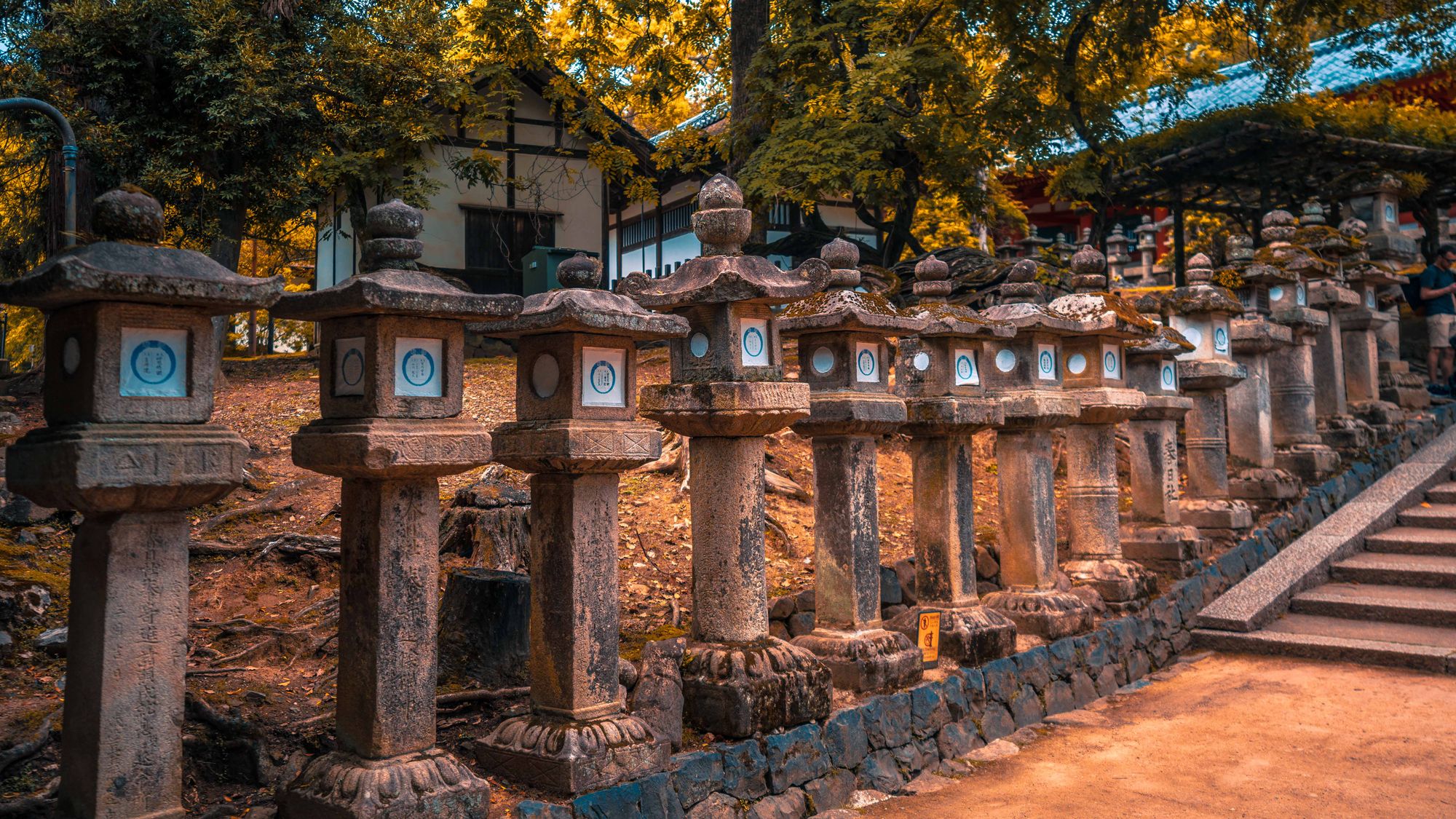 The Osaka Days & Nara